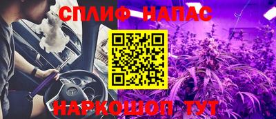 прущие грибы Ставрополь